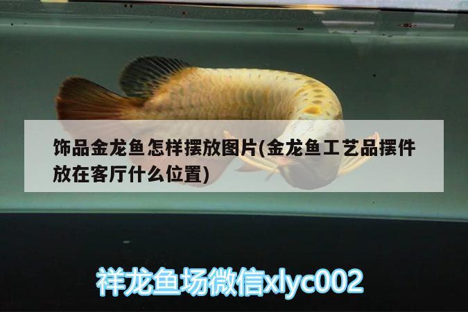 飾品金龍魚怎樣擺放圖片(金龍魚工藝品擺件放在客廳什么位置)