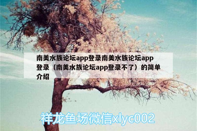 南美水族論壇app登錄南美水族論壇app登錄（南美水族論壇app登錄不了）的簡(jiǎn)單介紹 斑馬狗頭魚(yú)