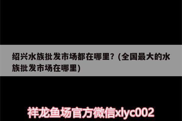 紹興水族批發(fā)市場(chǎng)都在哪里？(全國(guó)最大的水族批發(fā)市場(chǎng)在哪里) 觀賞魚(yú)水族批發(fā)市場(chǎng)