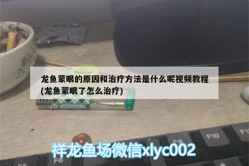 龍魚蒙眼的原因和治療方法是什么呢視頻教程(龍魚蒙眼了怎么治療)