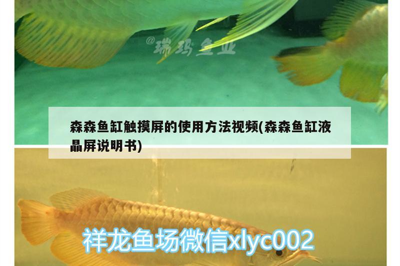 森森魚缸觸摸屏的使用方法視頻(森森魚缸液晶屏說(shuō)明書) 圣菲埃及魚