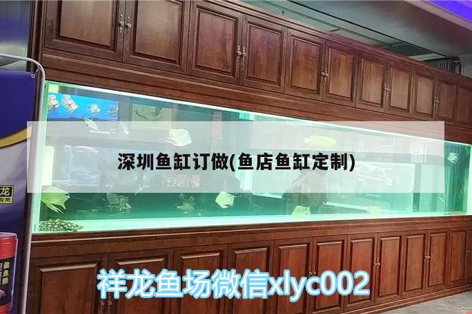 深圳魚缸訂做(魚店魚缸定制) 純血皇冠黑白魟魚 第1張