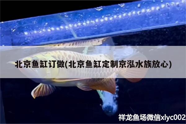 北京魚缸訂做(北京魚缸定制京泓水族放心)