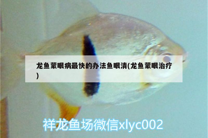 龍魚蒙眼病最快的辦法魚眼清(龍魚蒙眼治療)