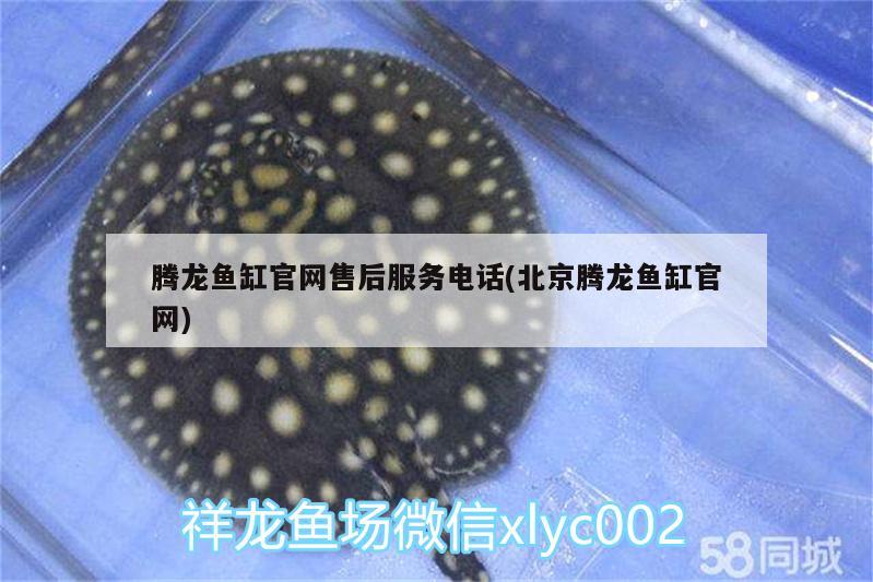 騰龍魚缸官網售后服務電話(北京騰龍魚缸官網)