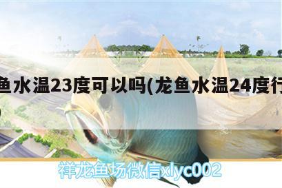 龍魚水溫23度可以嗎(龍魚水溫24度行不行) 祥龍龍魚魚糧