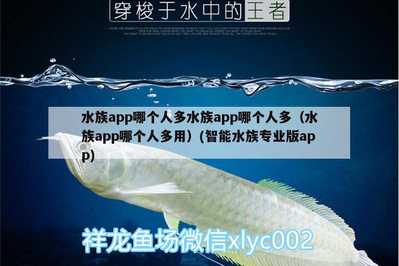 水族app哪個人多水族app哪個人多（水族app哪個人多用）(智能水族專業(yè)版app) 其它水族用具設備