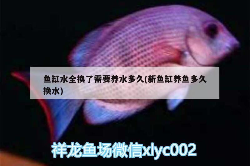 魚缸水全換了需要養(yǎng)水多久(新魚缸養(yǎng)魚多久換水) 黑桃A魚