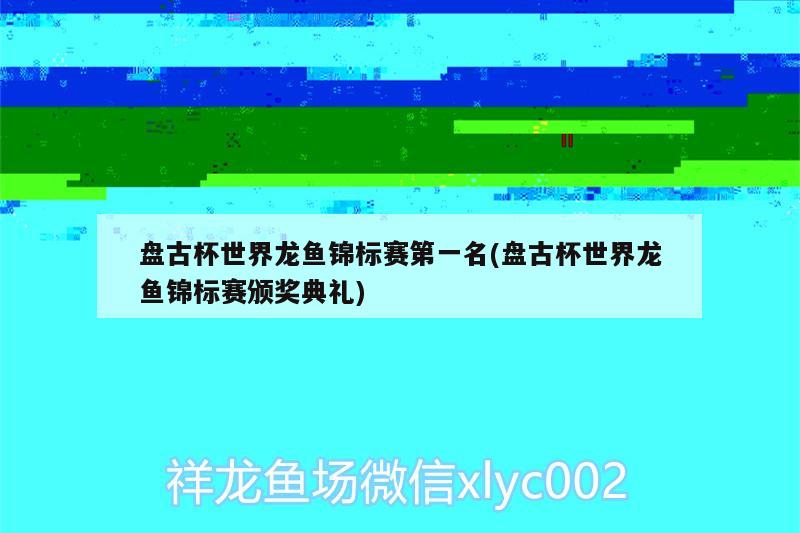 盤古杯世界龍魚錦標賽第一名(盤古杯世界龍魚錦標賽頒獎典禮) 祥龍赫舞紅龍魚