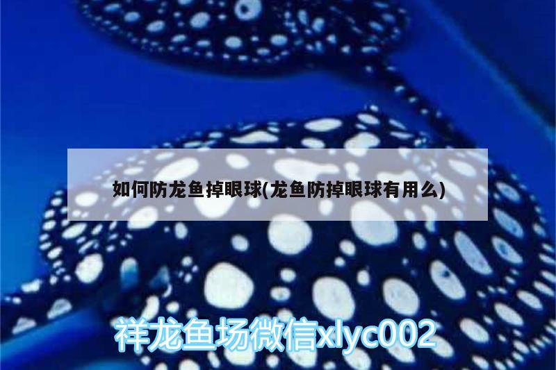 如何防龍魚掉眼球(龍魚防掉眼球有用么)