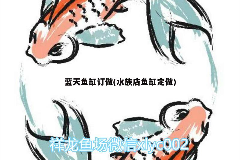 藍天魚缸訂做(水族店魚缸定做)