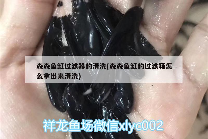 森森魚缸過濾器的清洗(森森魚缸的過濾箱怎么拿出來清洗)