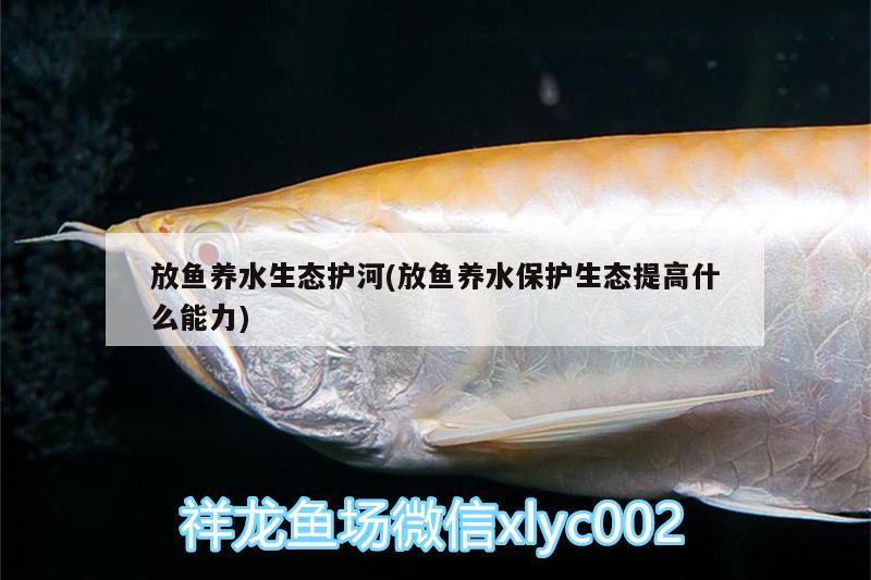 放魚養(yǎng)水生態(tài)護河(放魚養(yǎng)水保護生態(tài)提高什么能力)