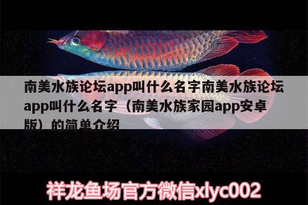 南美水族論壇app叫什么名字南美水族論壇app叫什么名字（南美水族家園app安卓版）的簡單介紹