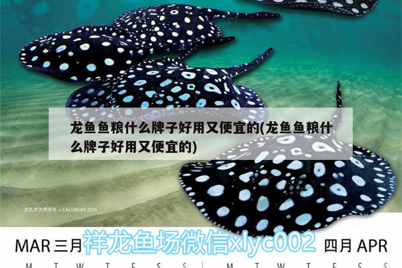 龍魚魚糧什么牌子好用又便宜的(龍魚魚糧什么牌子好用又便宜的)