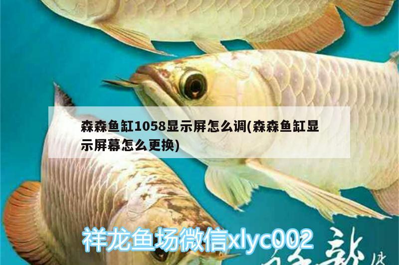 森森魚缸1058顯示屏怎么調(森森魚缸顯示屏幕怎么更換) 月光鴨嘴魚 第2張