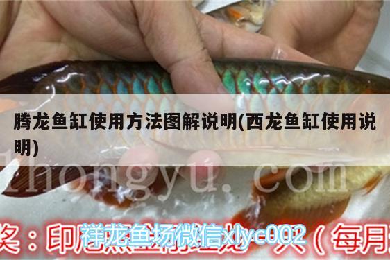 騰龍魚缸使用方法圖解說明(西龍魚缸使用說明) 魚缸清潔用具