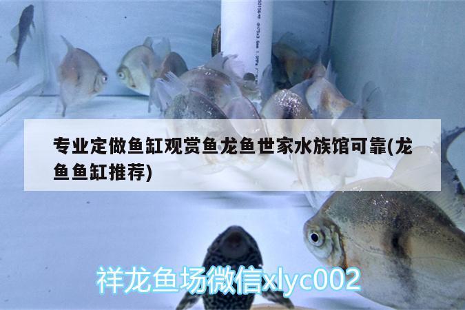 專業(yè)定做魚缸觀賞魚龍魚世家水族館可靠(龍魚魚缸推薦)