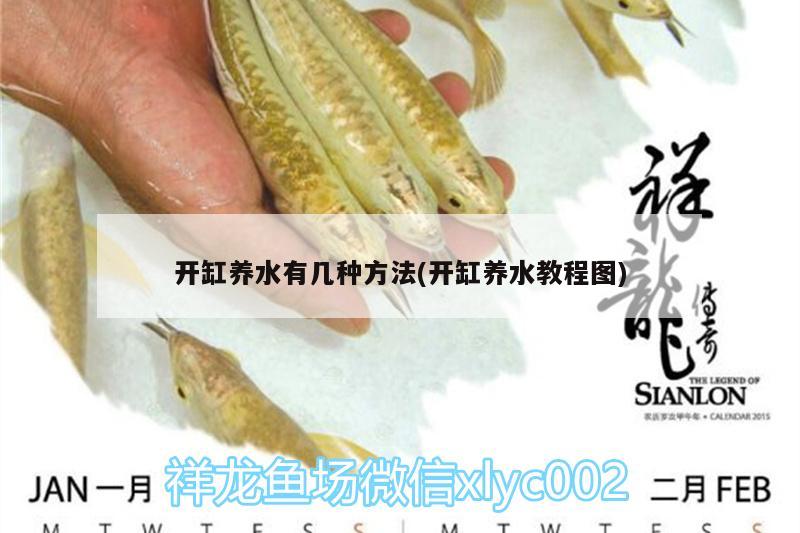 開缸養(yǎng)水有幾種方法(開缸養(yǎng)水教程圖) 噴點菠蘿魚