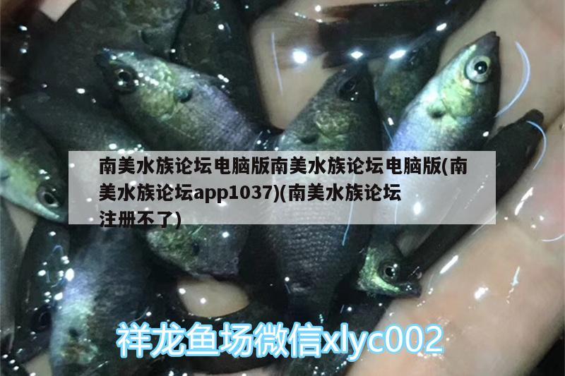 南美水族論壇電腦版南美水族論壇電腦版(南美水族論壇app1037)(南美水族論壇注冊(cè)不了)