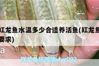 冬天紅龍魚水溫多少合適養(yǎng)活魚(紅龍魚對水溫的要求) 一眉道人魚