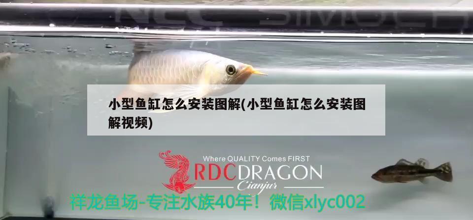 小型魚缸怎么安裝圖解(小型魚缸怎么安裝圖解視頻)