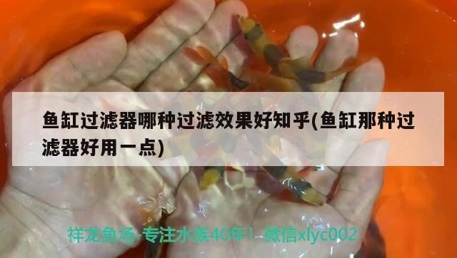 魚缸過濾器哪種過濾效果好知乎(魚缸那種過濾器好用一點)