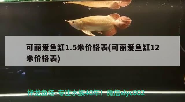 可麗愛魚缸1.5米價(jià)格表(可麗愛魚缸12米價(jià)格表) 哥倫比亞巨暴魚苗