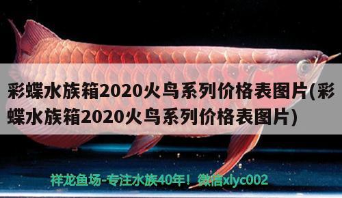 彩蝶水族箱2020火鳥系列價格表圖片(彩蝶水族箱2020火鳥系列價格表圖片) 魚缸/水族箱