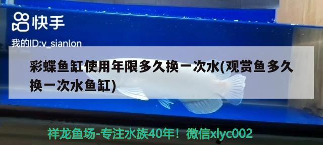 彩蝶魚(yú)缸使用年限多久換一次水(觀賞魚(yú)多久換一次水魚(yú)缸) 薩伊藍(lán)魚(yú)