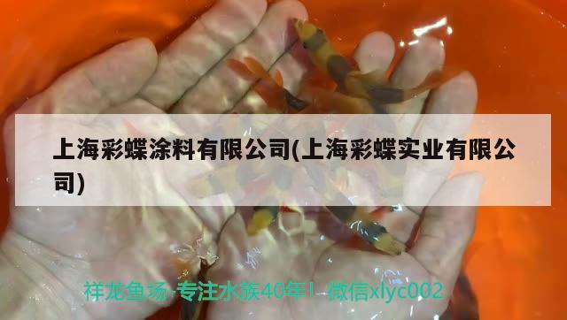 上海彩蝶涂料有限公司(上海彩蝶實業(yè)有限公司) 金龍福龍魚