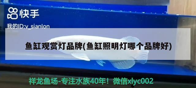 魚(yú)缸觀賞燈品牌(魚(yú)缸照明燈哪個(gè)品牌好)