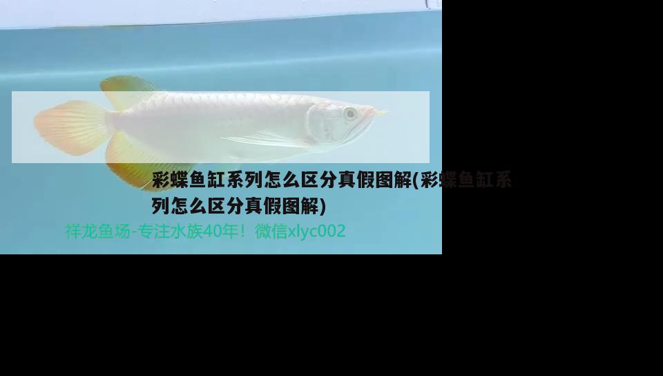 彩蝶魚缸系列怎么區(qū)分真假圖解(彩蝶魚缸系列怎么區(qū)分真假圖解)