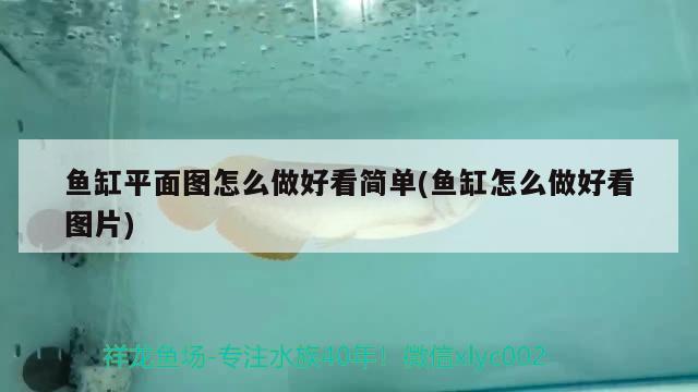 魚缸平面圖怎么做好看簡(jiǎn)單(魚缸怎么做好看圖片)