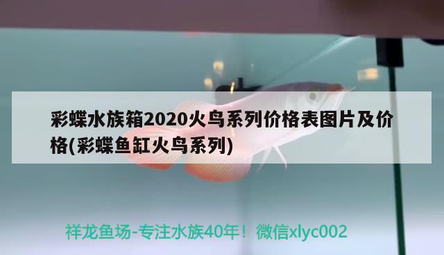 魚缸安裝過濾器還需要氧氣嗎知乎(魚缸放過濾器還用放氧氣泵嗎)