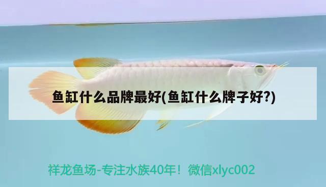 魚缸什么品牌最好(魚缸什么牌子好?)