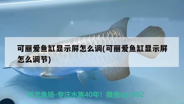 可麗愛魚缸顯示屏怎么調(diào)(可麗愛魚缸顯示屏怎么調(diào)節(jié))