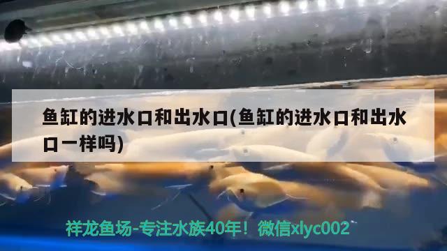 魚(yú)缸的進(jìn)水口和出水口(魚(yú)缸的進(jìn)水口和出水口一樣嗎) 水溫計(jì)