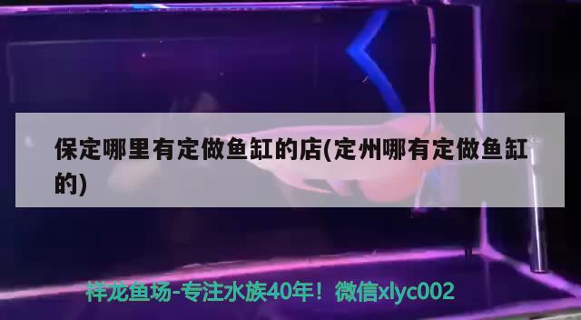 保定哪里有定做魚缸的店(定州哪有定做魚缸的) 全國水族館企業(yè)名錄 第1張