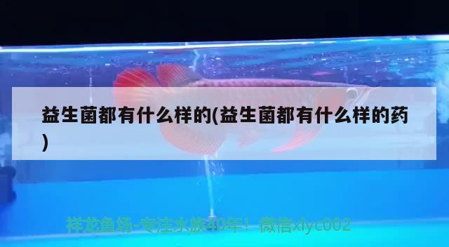 益生菌都有什么樣的(益生菌都有什么樣的藥) 三色錦鯉魚