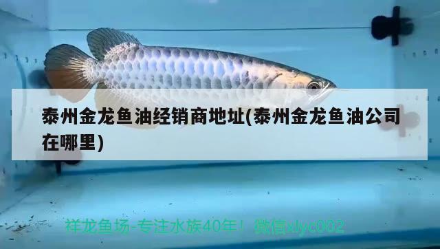 泰州金龍魚油經(jīng)銷商地址(泰州金龍魚油公司在哪里) 黃金鴨嘴魚