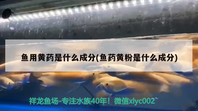 魚(yú)用黃藥是什么成分(魚(yú)藥黃粉是什么成分) 紅尾平克魚(yú)