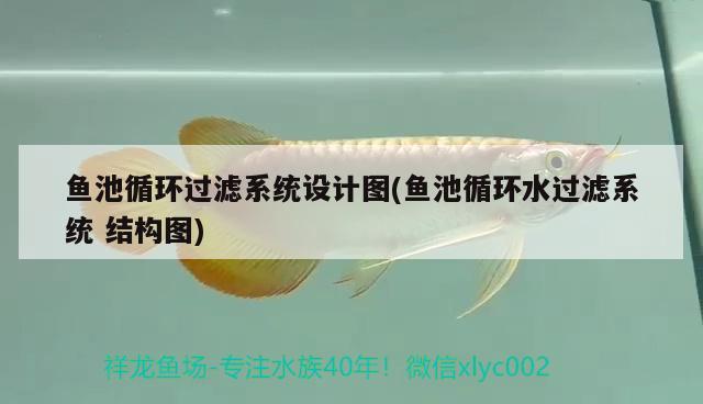 魚池循環(huán)過濾系統(tǒng)設(shè)計(jì)圖(魚池循環(huán)水過濾系統(tǒng) 結(jié)構(gòu)圖) 藍(lán)底過背金龍魚