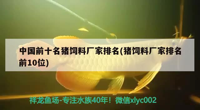 中國前十名豬飼料廠家排名(豬飼料廠家排名前10位) 稀有金龍魚