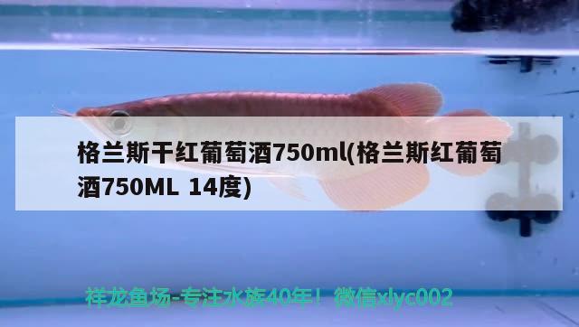 格蘭斯干紅葡萄酒750ml(格蘭斯紅葡萄酒750ML 14度) 七彩神仙魚(yú)