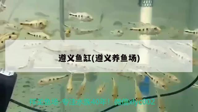 遵義魚缸(遵義養(yǎng)魚場(chǎng)) 祥龍龍魚專用水族燈