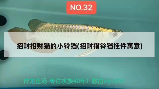 招財(cái)招財(cái)貓的小鈴鐺(招財(cái)貓鈴鐺掛件寓意) 魚(yú)缸水質(zhì)穩(wěn)定劑