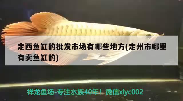 定西魚(yú)缸的批發(fā)市場(chǎng)有哪些地方(定州市哪里有賣魚(yú)缸的) 赤焰中國(guó)虎魚(yú)