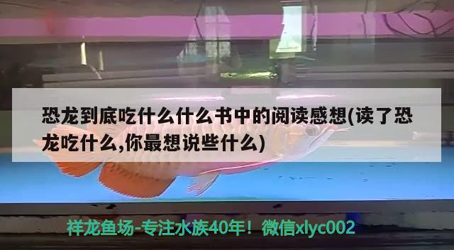 恐龍到底吃什么什么書中的閱讀感想(讀了恐龍吃什么,你最想說些什么) 彩鰈魚缸（彩蝶魚缸）