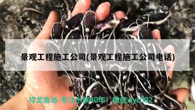 景觀工程施工公司(景觀工程施工公司電話) 龍魚芯片掃碼器